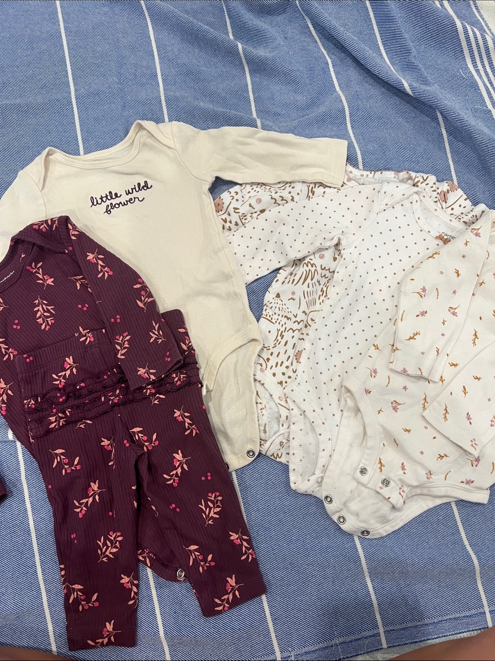 Baby Bundle Floral and Neutral Long-Sleeve Bodysuits